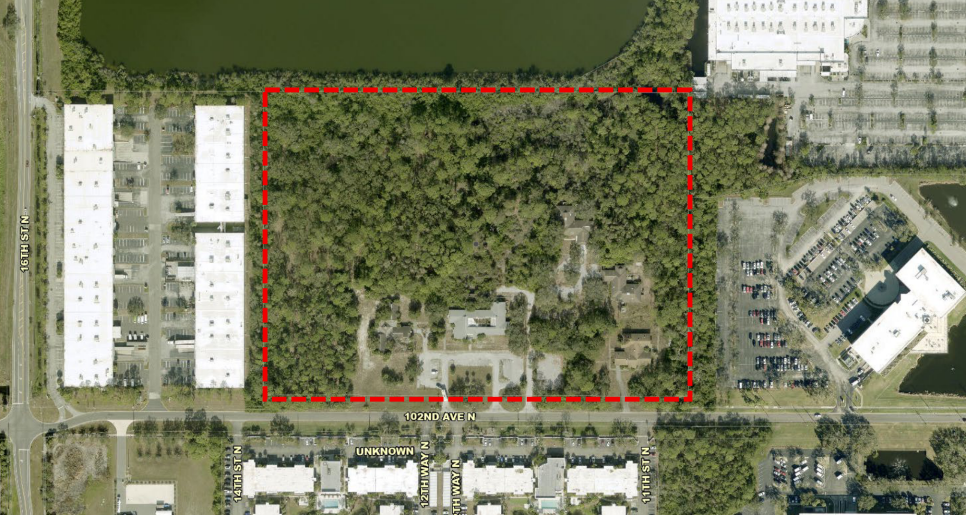 St. Pete balks at warehouse tree removal request