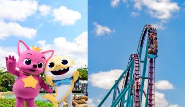 Baby Shark, Shark Appreciation Week bring fin-tastic fun to SeaWorld Orlando