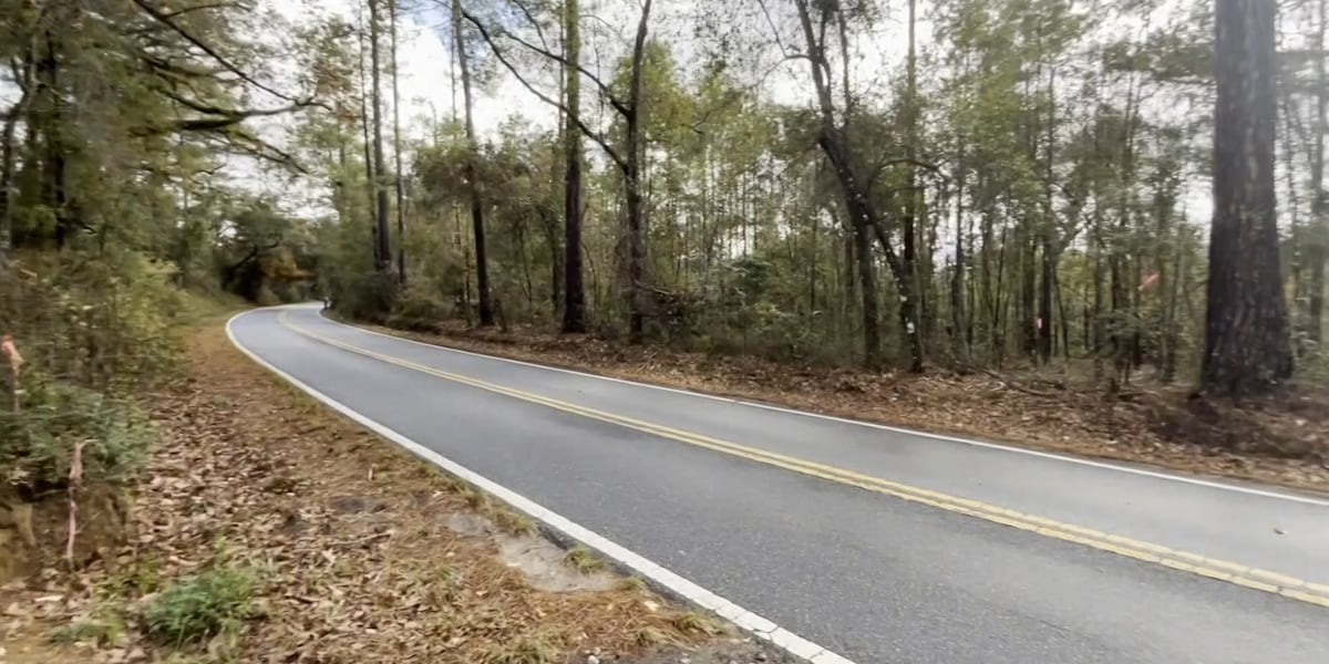 Action postponed on Southwood road project as city seeks full transportation analysis