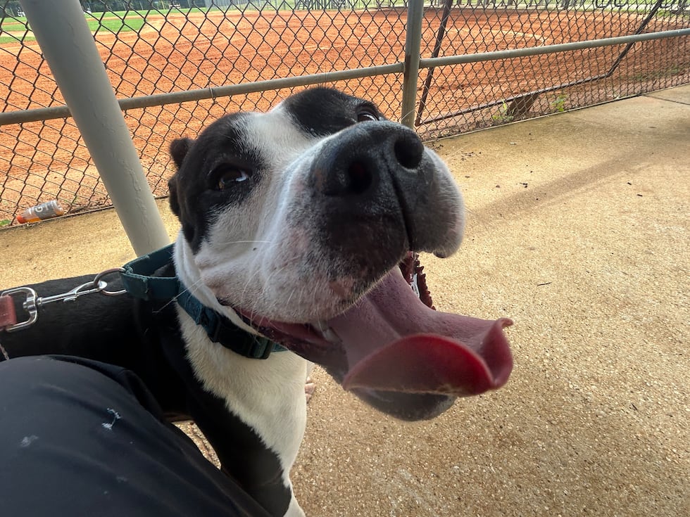 Truffles is sweet and gentle and clearly into togetherness!