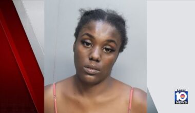 Police: Woman accused of firing Taser at driver in Allapattah