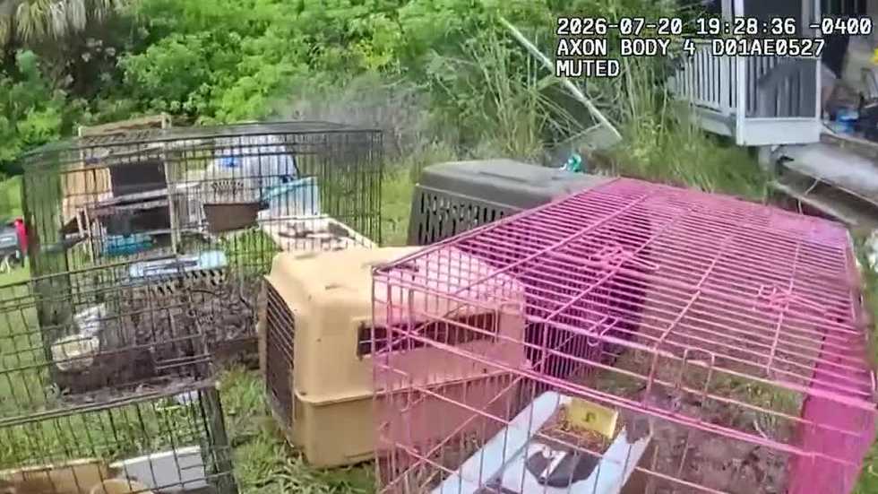 Families visit Humane Society in search of pets rescued from Martin County home