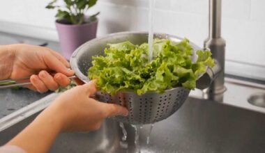 South Florida farmers encourage local food production amidst cyclosporiasis outbreak