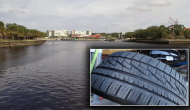Tampa tire pollution: Study tracks toxic chemical in Hillsborough River