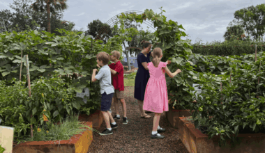 #AskJAXTDY | Why does Overalls Farm get so many citations?