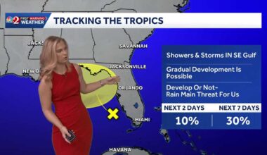 Disturbance off Florida's Gulf coast bringing heavy rain