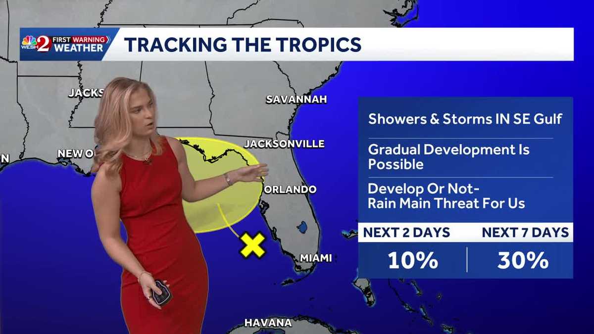Disturbance off Florida's Gulf coast bringing heavy rain