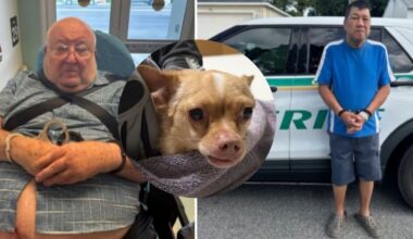Two men are facing aggravated animal cruelty charges after authorities said they left a vest on their dog for months, allowing it to grow into the dog's skin and causing the animal severe pain. Brevard County Sheriff Wayne Ivey said when the suspects contacted an animal shelter to surrender the dog, one of them asked, "How about I just knock him in the head with a shovel." (BCSO)
