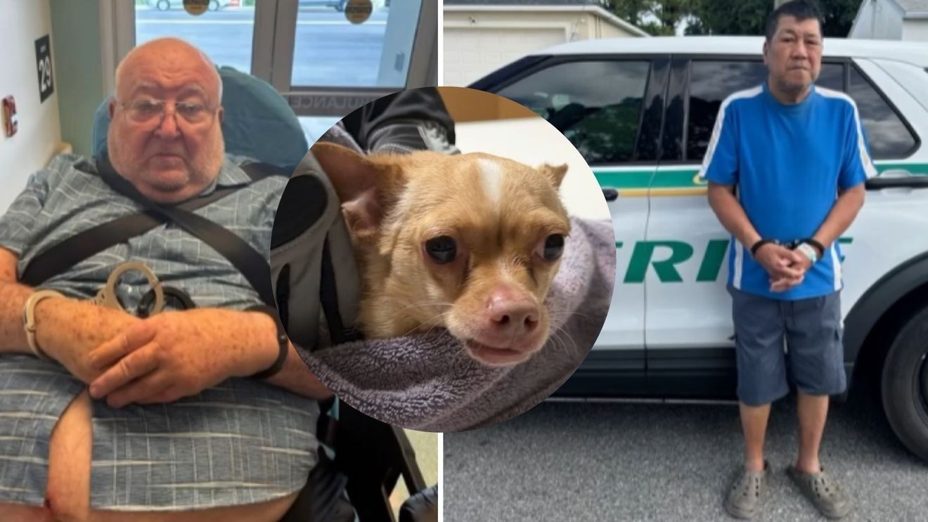 Two men are facing aggravated animal cruelty charges after authorities said they left a vest on their dog for months, allowing it to grow into the dog's skin and causing the animal severe pain. Brevard County Sheriff Wayne Ivey said when the suspects contacted an animal shelter to surrender the dog, one of them asked, "How about I just knock him in the head with a shovel." (BCSO)