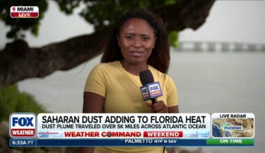 5,000-mile Saharan dust plume intensifies Florida heat | Latest Weather Clips