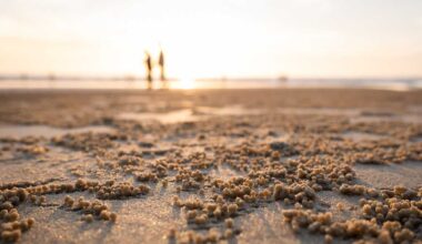 Fun things to do in South Florida