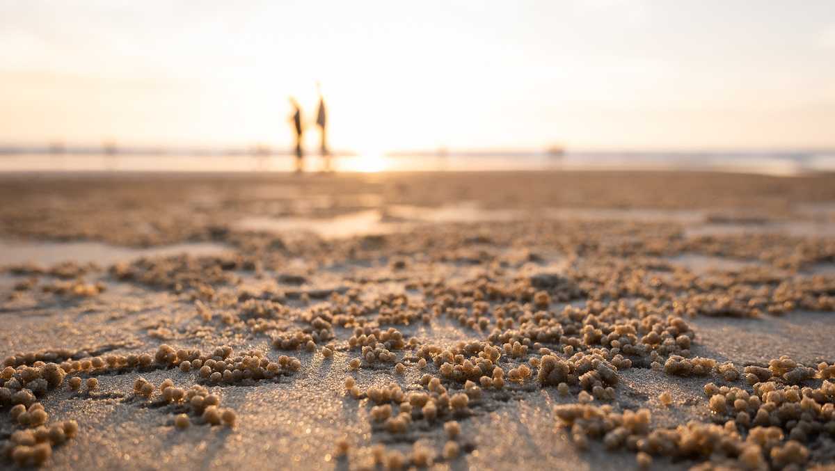 Fun things to do in South Florida