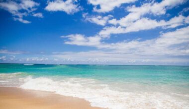 Fun things to do in South Florida
