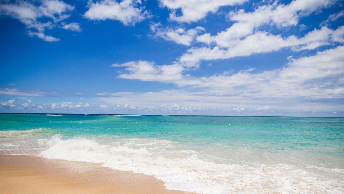 Fun things to do in South Florida