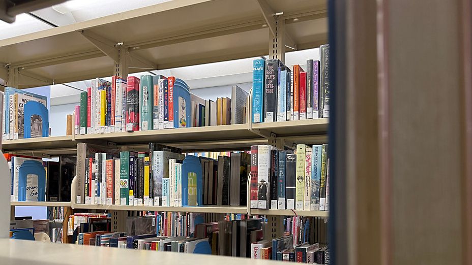Books line the shelves of the DeLand Area Public Library. (Spectrum News)