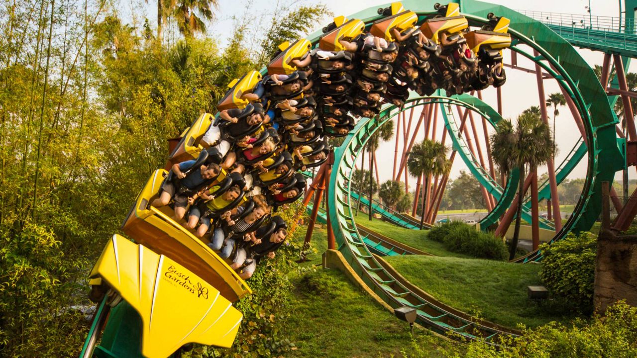 When it made its debut in 1993, Kumba was Florida’s tallest, fastest and longest roller coaster, featuring the world’s tallest vertical loop. (Photo Courtesy: United Parks & Resorts)