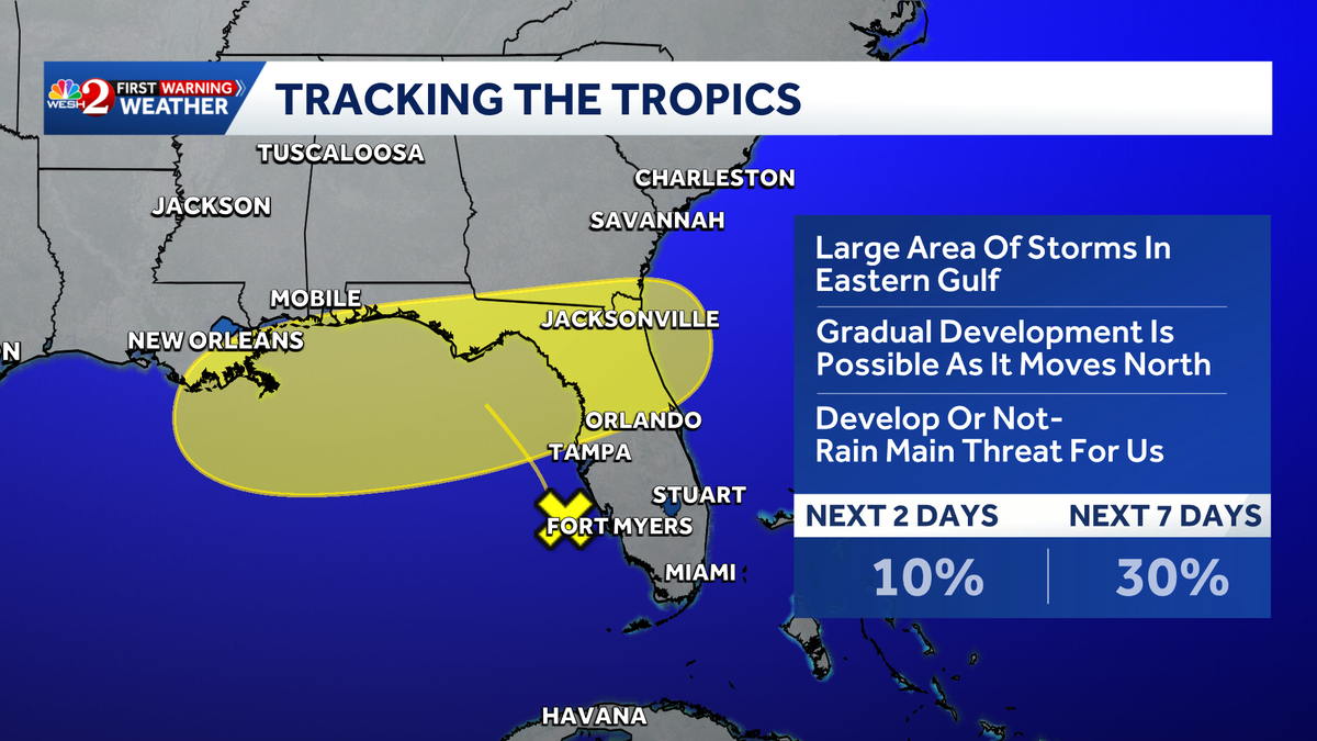 Disturbance off Florida's Gulf coast bringing heavy rain