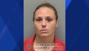 Cape Coral traffic stop leads to K9 finding almost 100 grams of meth in woman's car, police say