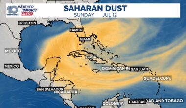Dust from the Sahara Desert is taking over Tampa Bay — here's what to expect