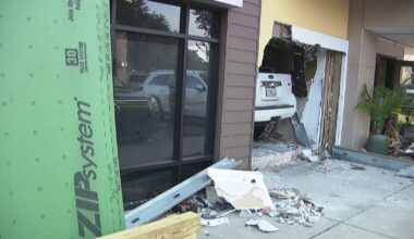 Driver loses control of SUV before slamming into Carrollwood restaurant, 3 vehicles