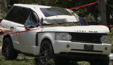 Video shows moment when lightning strike causes tree to fall onto moving Range Rover in North Miami