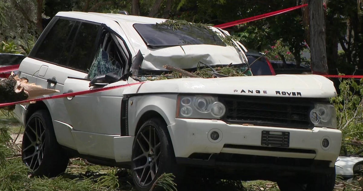 cbsmiami-north-miami-lightning-tree-suv-1.jpg