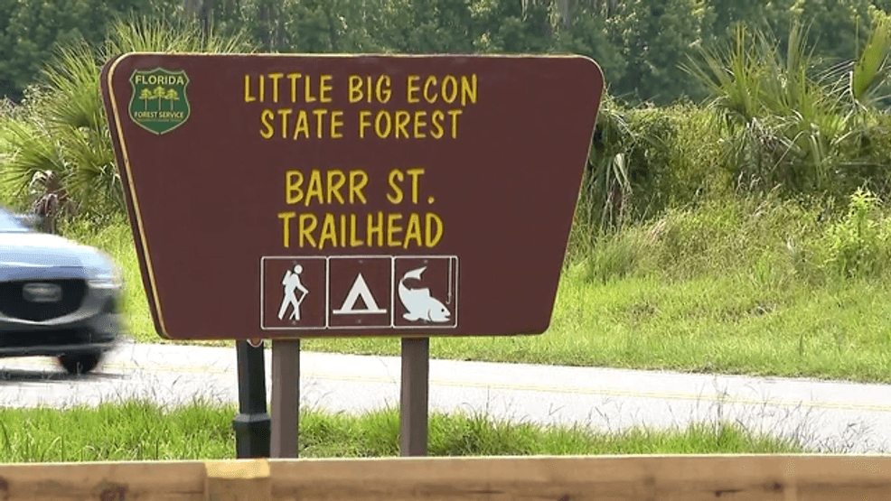 A 31-year-old Orlando woman was killed, and a juvenile was injured in separate alligator attacks in Central Florida over the weekend. (CNN Newsource)