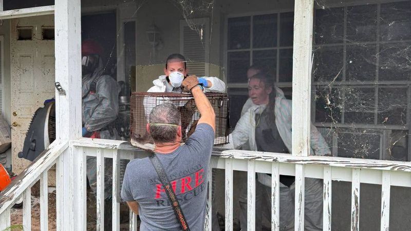 Pet Reunions Planned After Massive Martin County Animal Rescue, New Body Cam Released. (Martin County Sheriff's Office)