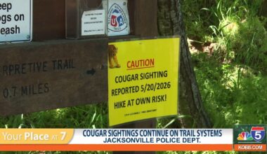 Cougar sightings continue on trail systems in Jacksonville