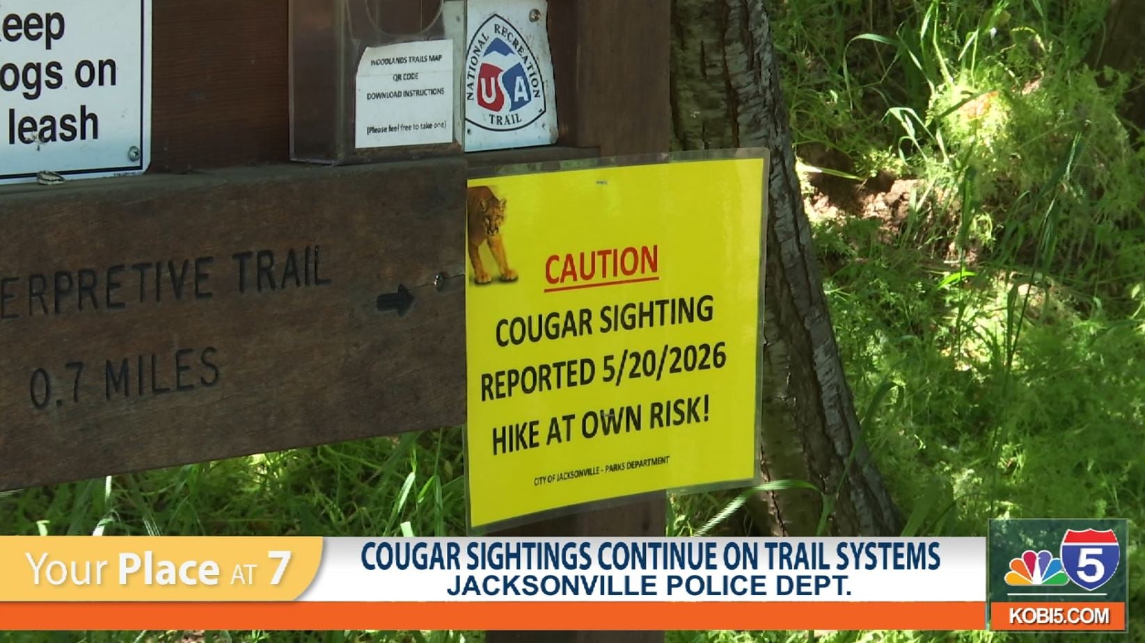 Cougar sightings continue on trail systems in Jacksonville