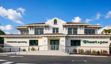 Heart + Paw veterinary clinic opens first Florida location in restored historic St. Pete home