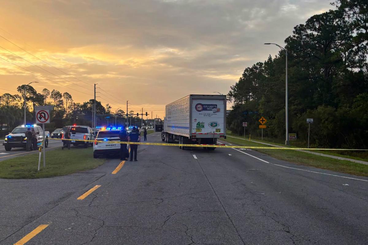 Mexican migrant struck and killed by semi-truck while fleeing ICE in Florida