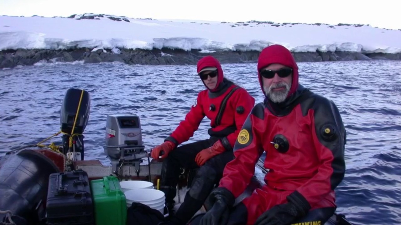 USF Antarctica expedition advances cancer research