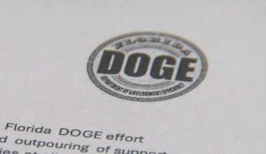 DOGE inquiry into Cape Coral spending now public, accessible online
