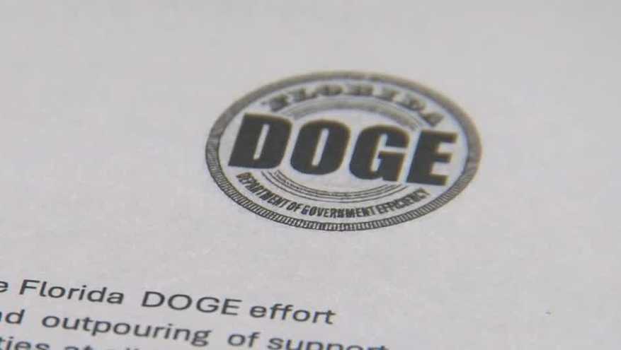 DOGE inquiry into Cape Coral spending now public, accessible online
