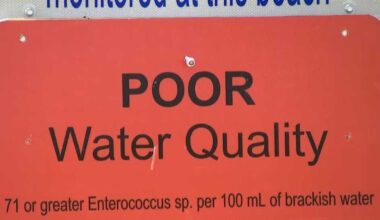 Warning signs posted for poor water quality at Tropicana Park in Cape Coral