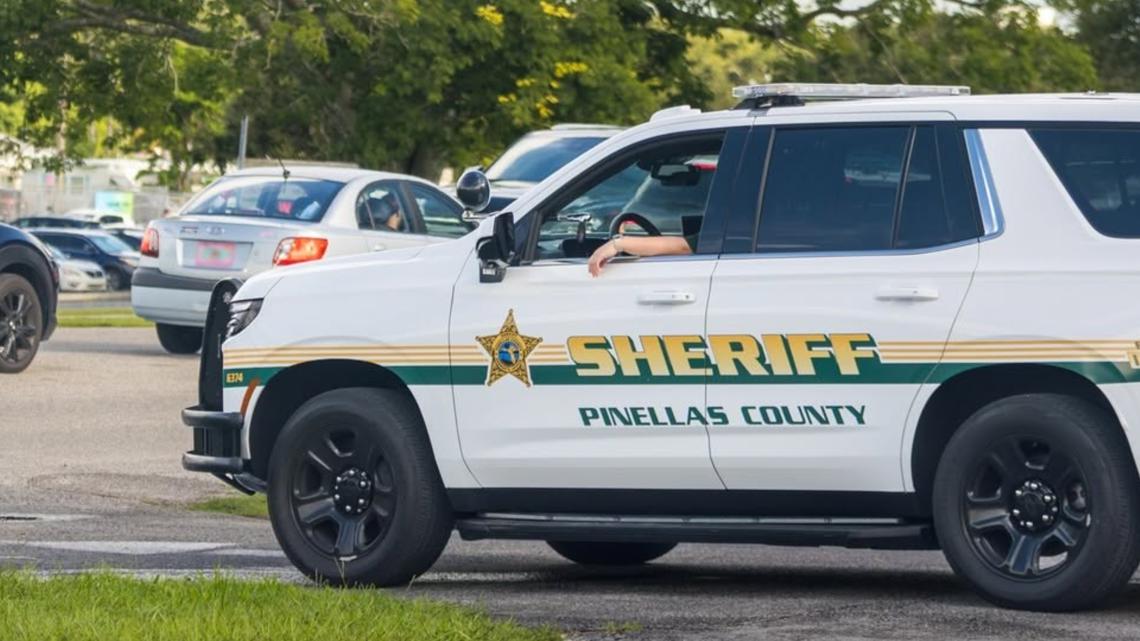 Palm Harbor psychiatrist charged with possessing child sexual abuse material, PCSO says
