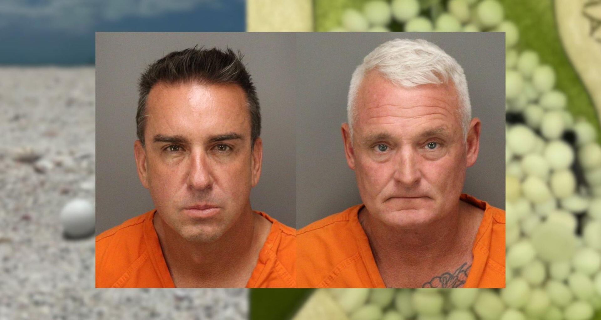Hotel, bar owners arrested for scattering mothballs on St. Pete Beach to scare off nesting birds: FWC