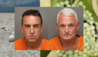 Hotel, bar owners arrested for scattering mothballs on St. Pete Beach to scare off nesting birds: FWC