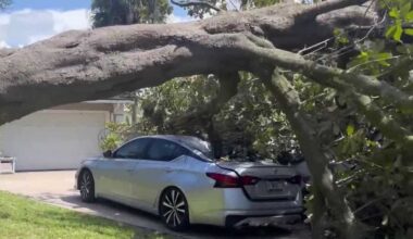 Tree crushes Maitland family’s cars during thunderstorm