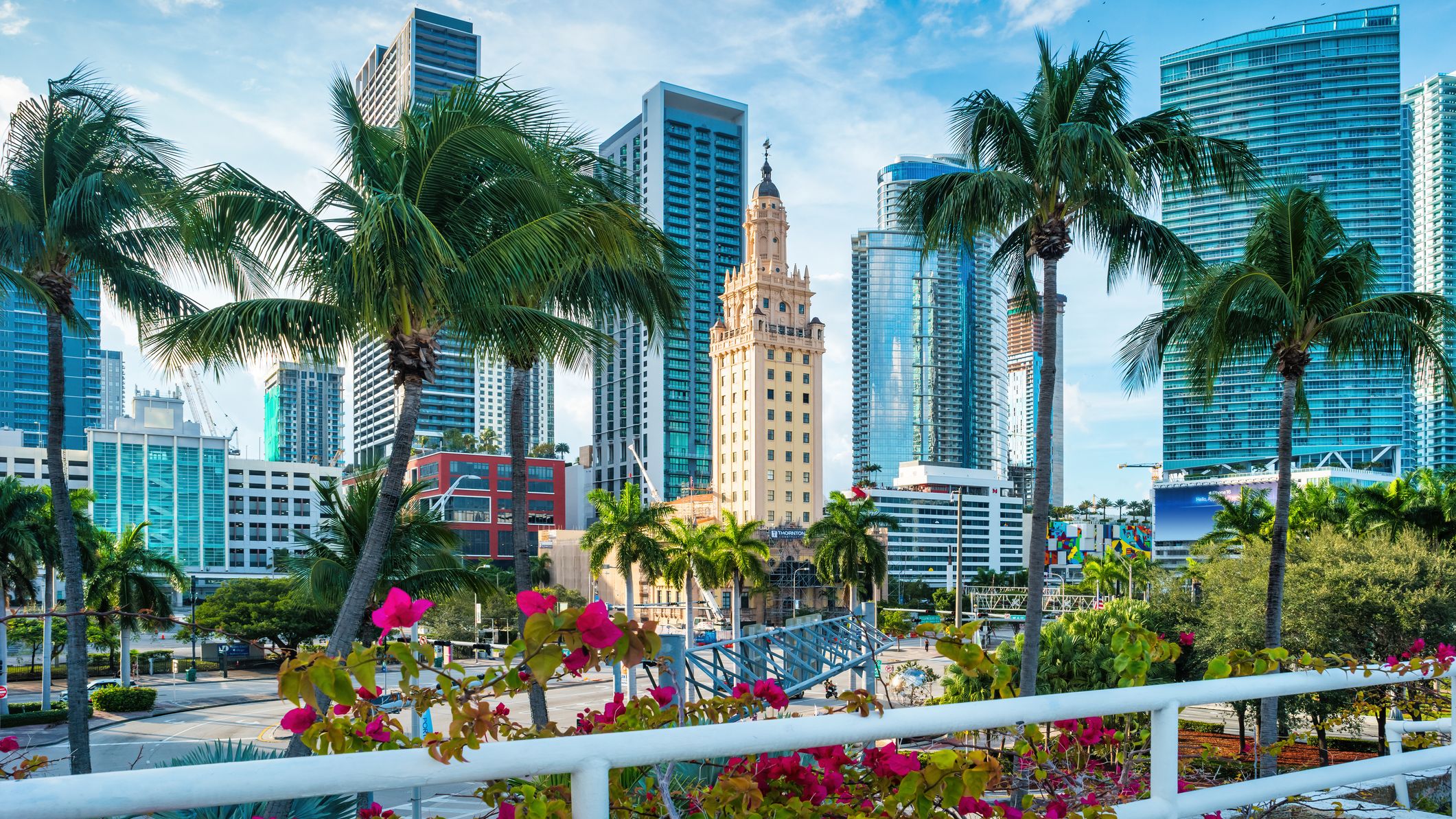a picture of the Miami skyline