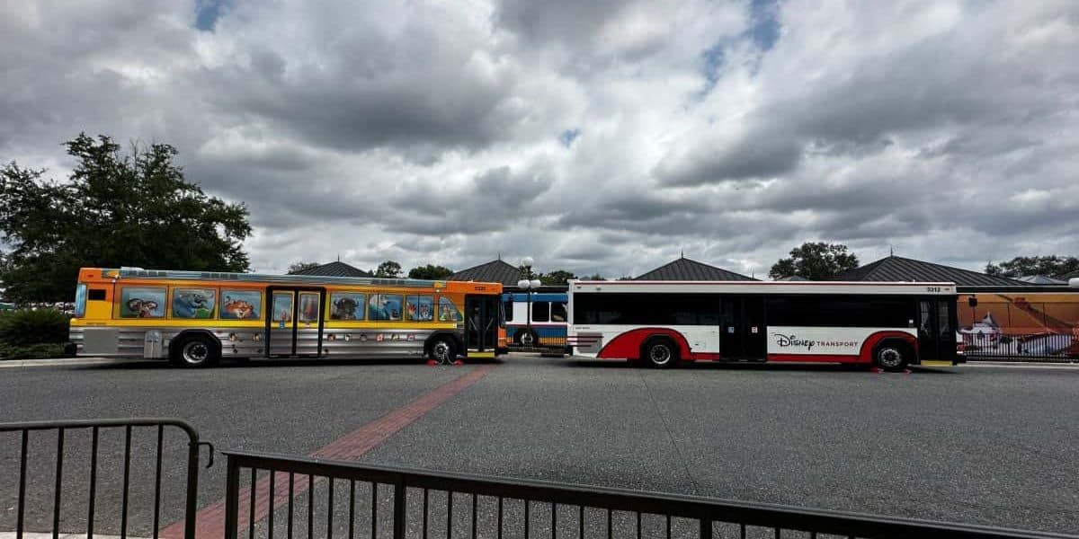 Two Walt Disney World Resort transportation buses parked outside Magic Kingdom. Disney World bus incident.