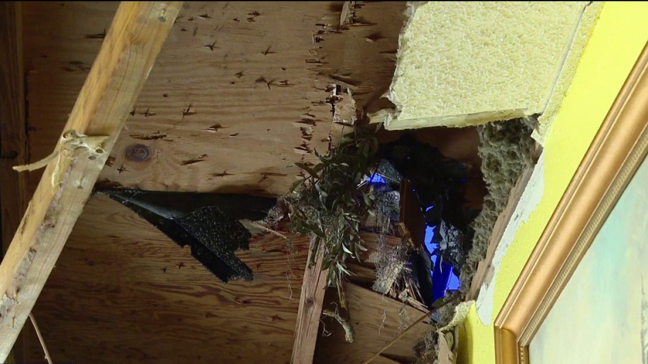 Tree falls on woman's home