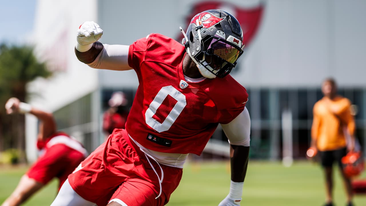 Tampa Bay Buccaneers logo
