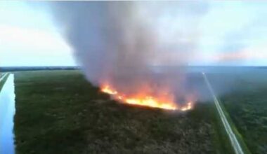 Firefighters battle 75-acre brush fire near Indiantown