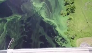 ADAM device tracks algae bloom exposures in Lee County