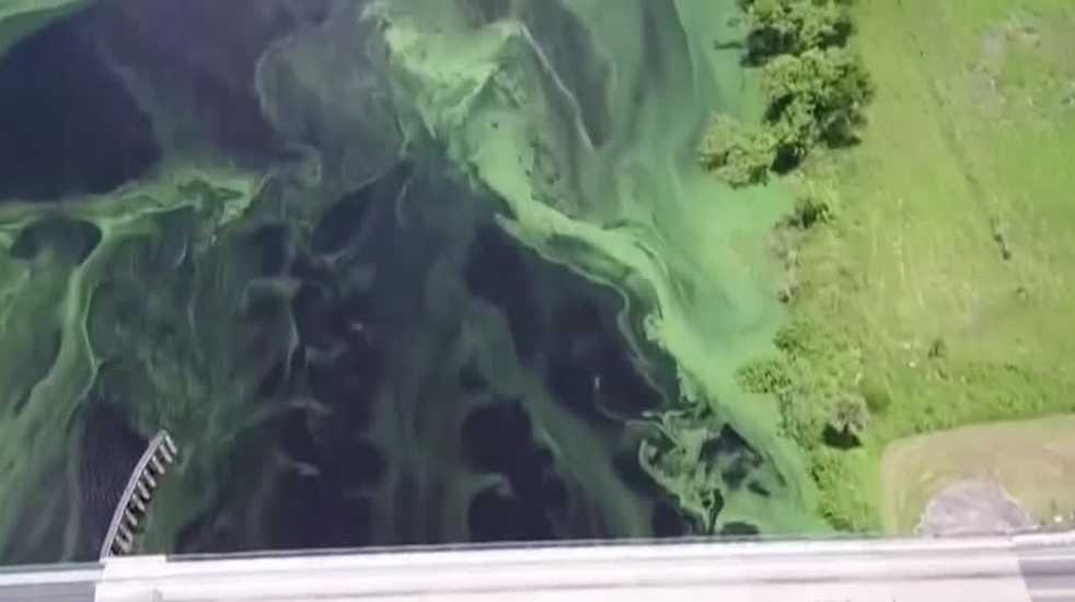 ADAM device tracks algae bloom exposures in Lee County