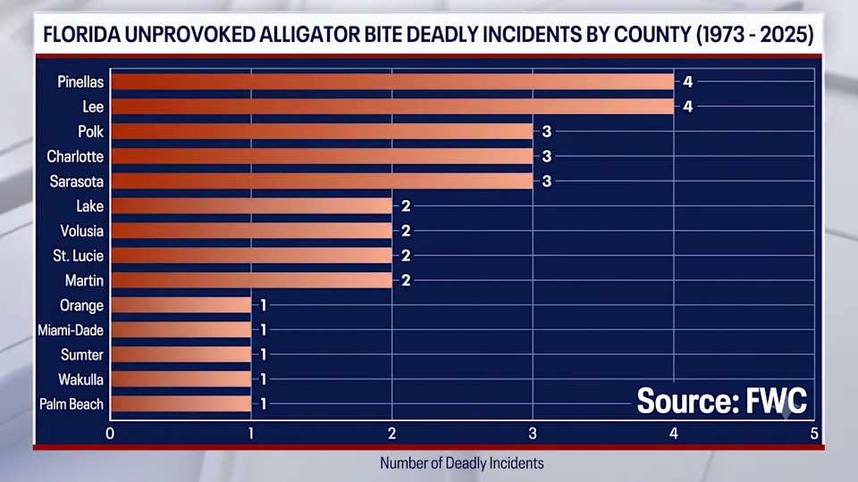 <div>The FWC provided a list of deaths by alligator bite from 1973-2025. (Graphic created with the use AI)</div>