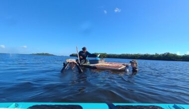 Field work studying seagrasses.