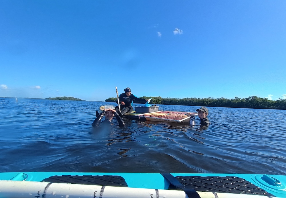 Field work studying seagrasses.